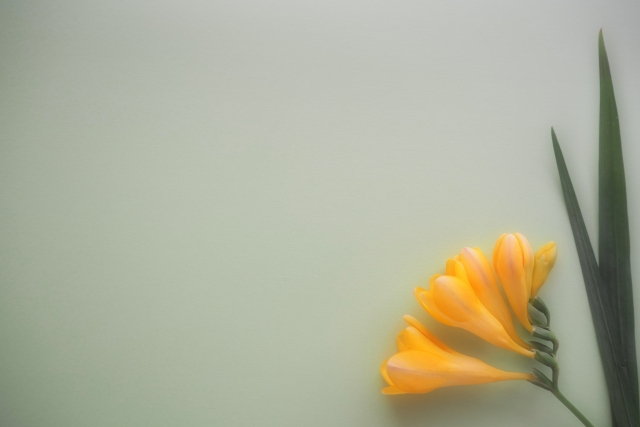 実際に弔電を送る際に 悩みやすい内容 東海典礼株式会社 葬儀に関する基礎知識